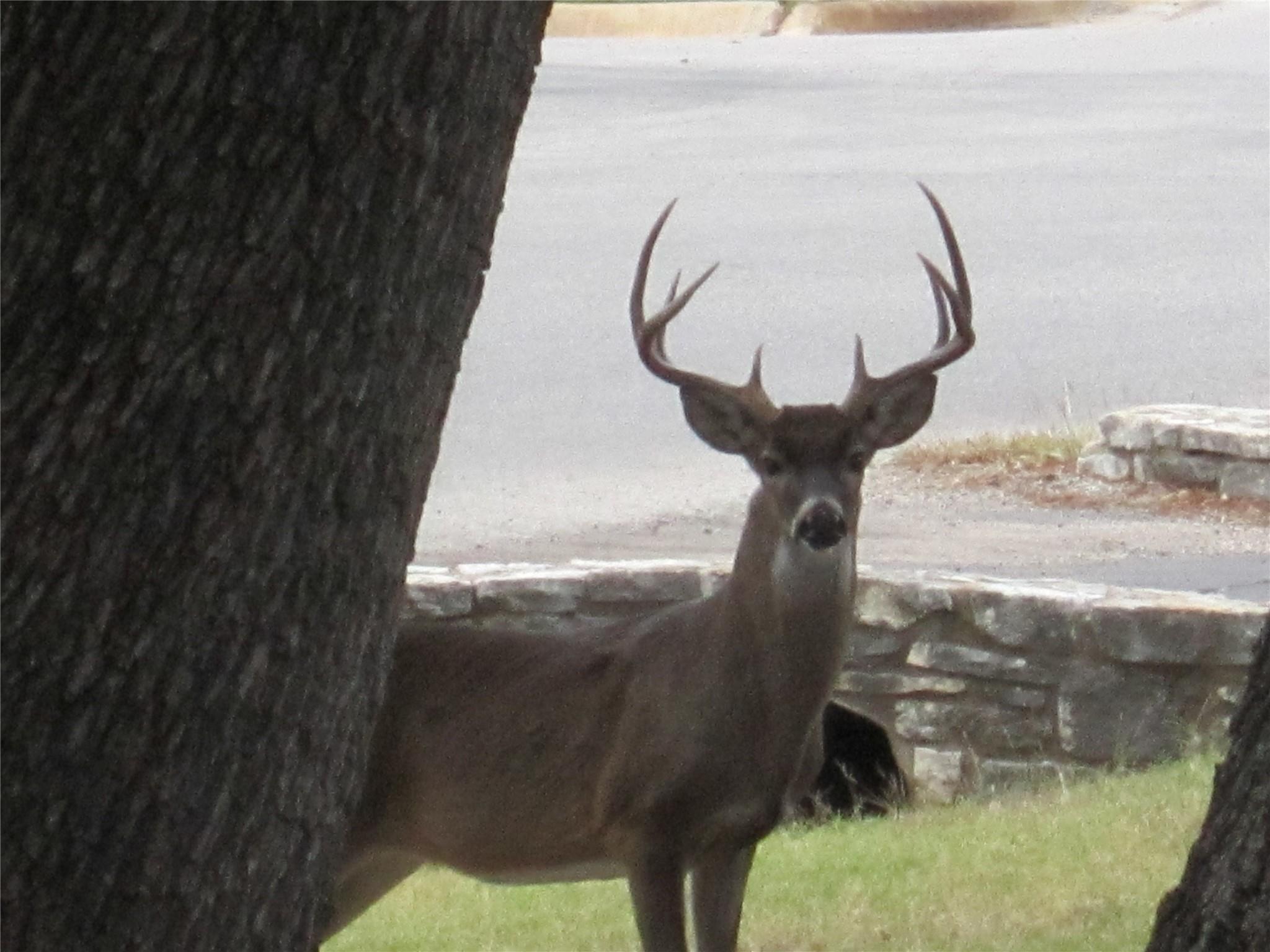 20903 Oak Dale Dr, Lago Vista, TX 78645