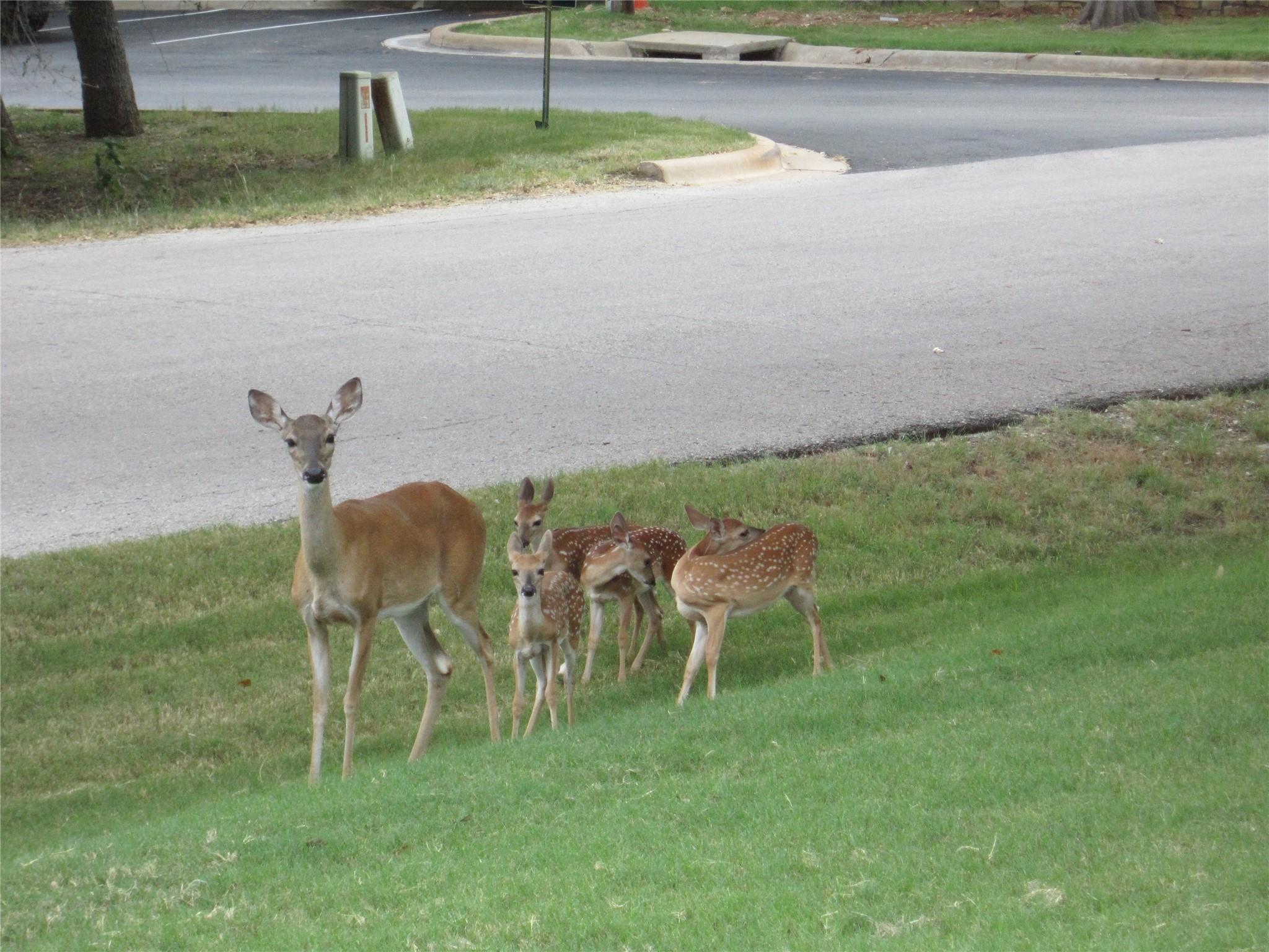 20903 Oak Dale Dr, Lago Vista, TX 78645