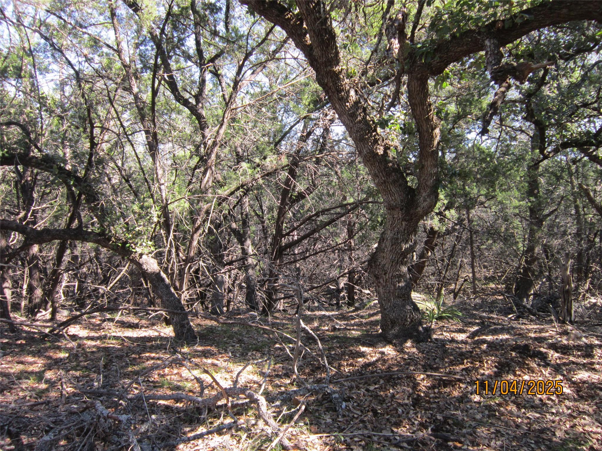 20903 Oak Dale Dr, Lago Vista, TX 78645