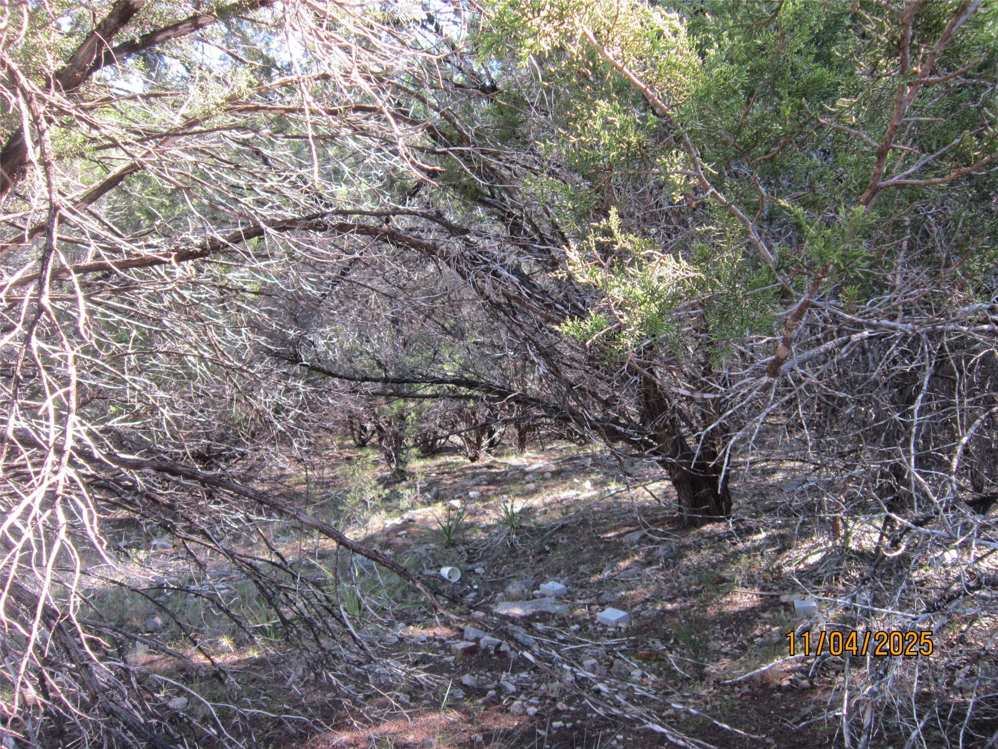 20903 Oak Dale Dr, Lago Vista, TX 78645