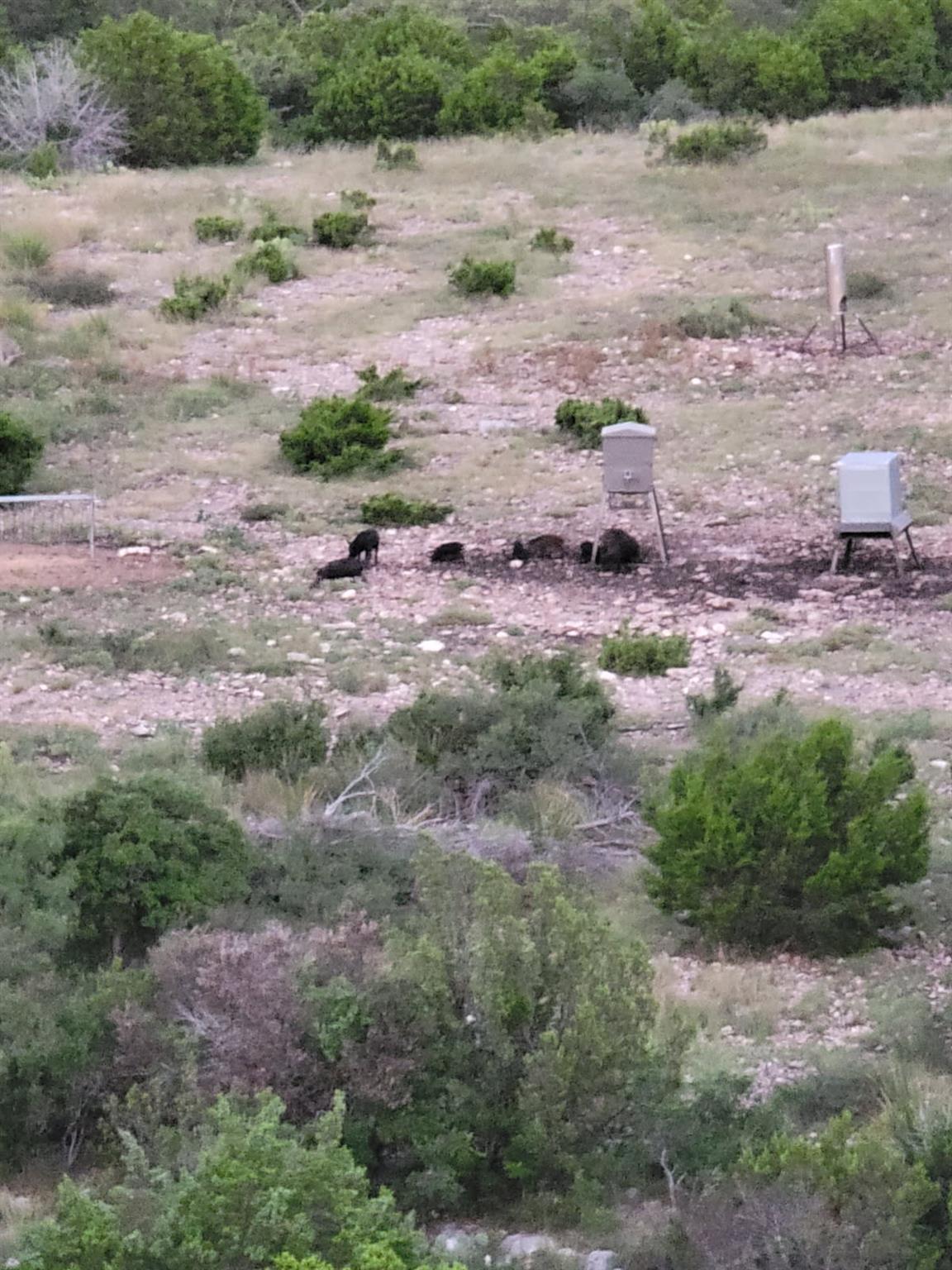 Rocksprings, TX 78880