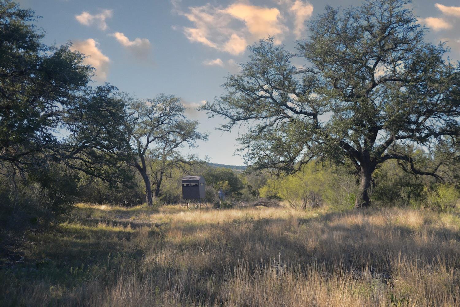 Rocksprings, TX 78880