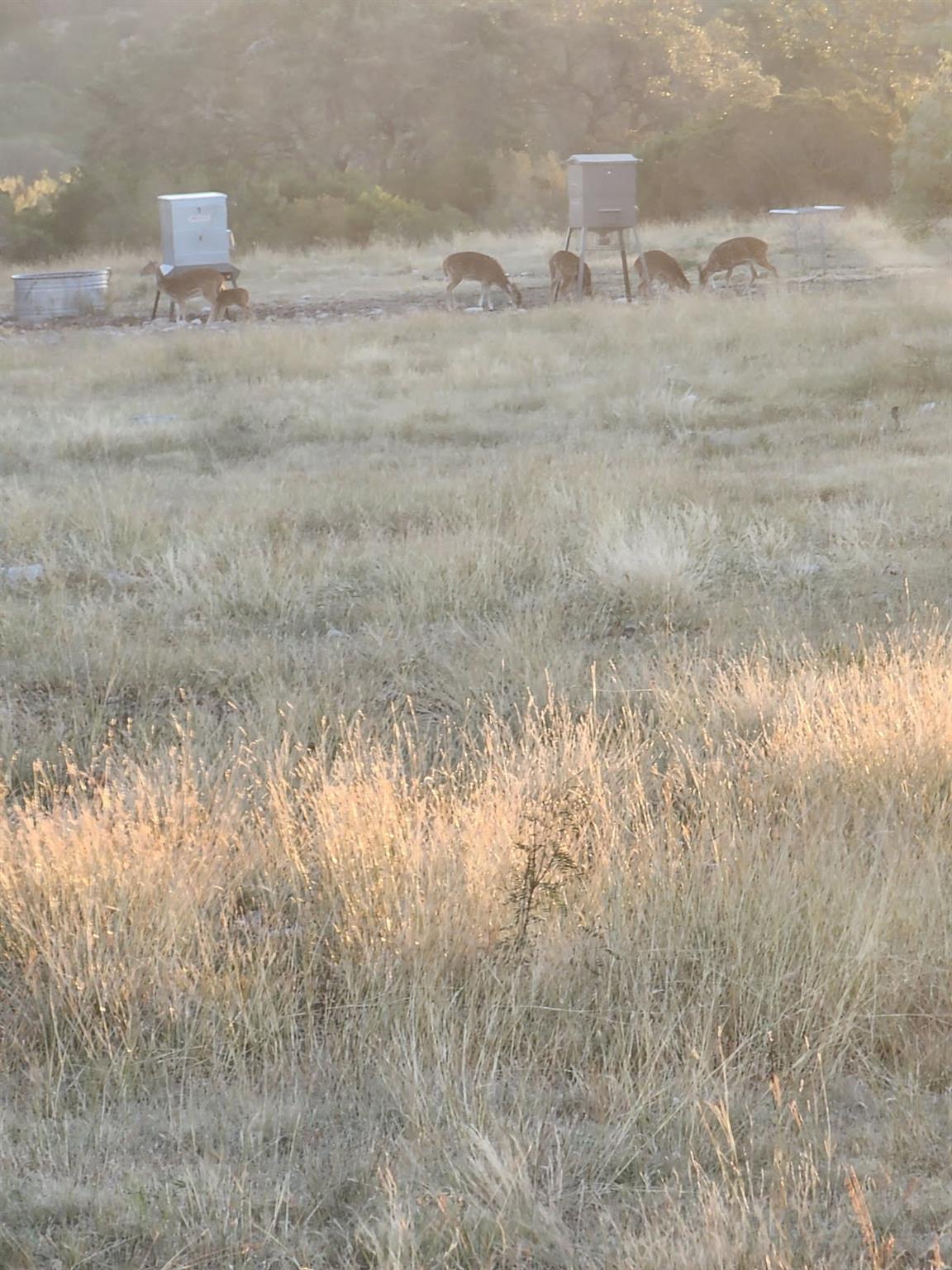 Rocksprings, TX 78880