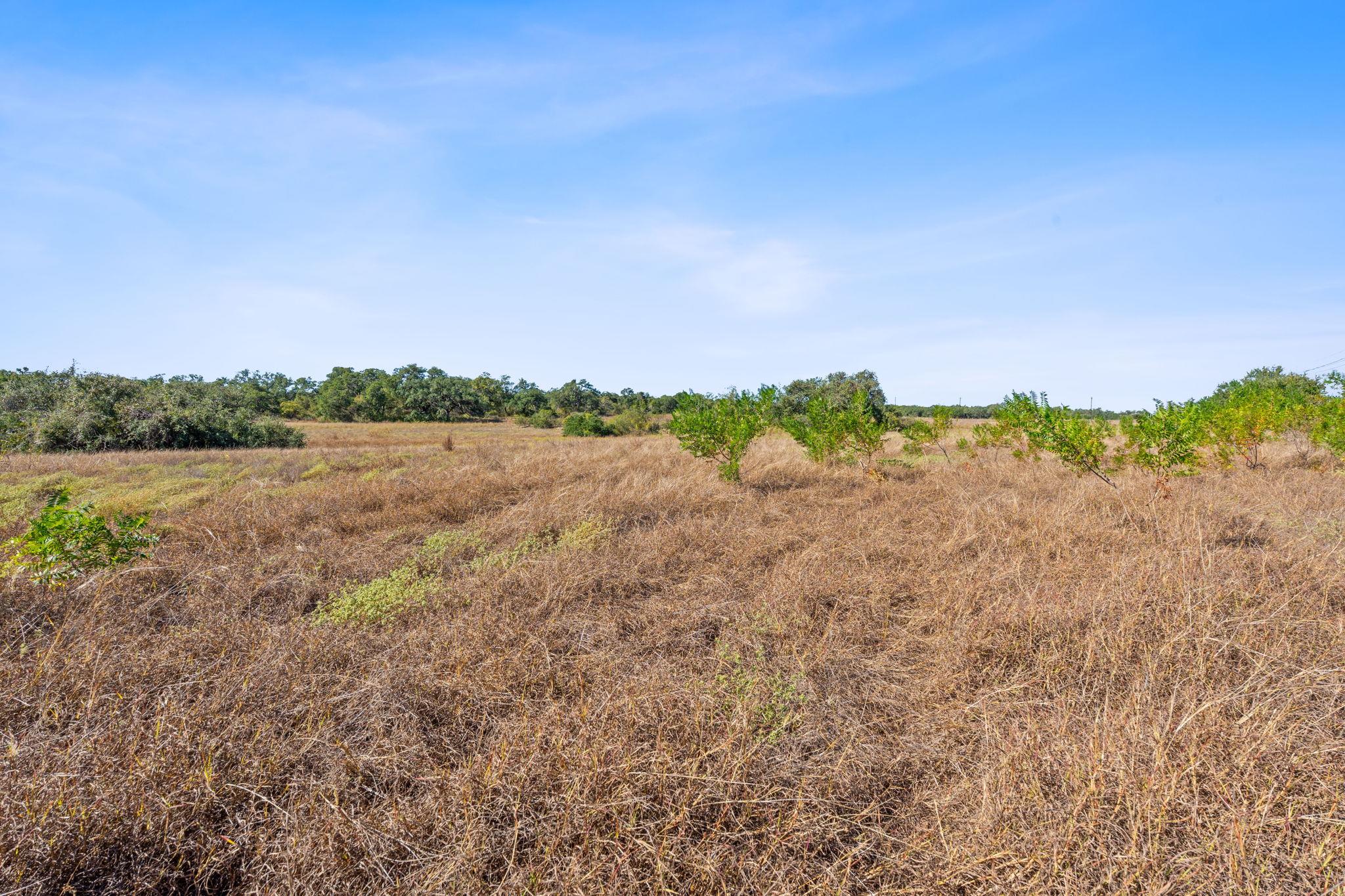 TBD FM 2325, Wimberley, TX 78676