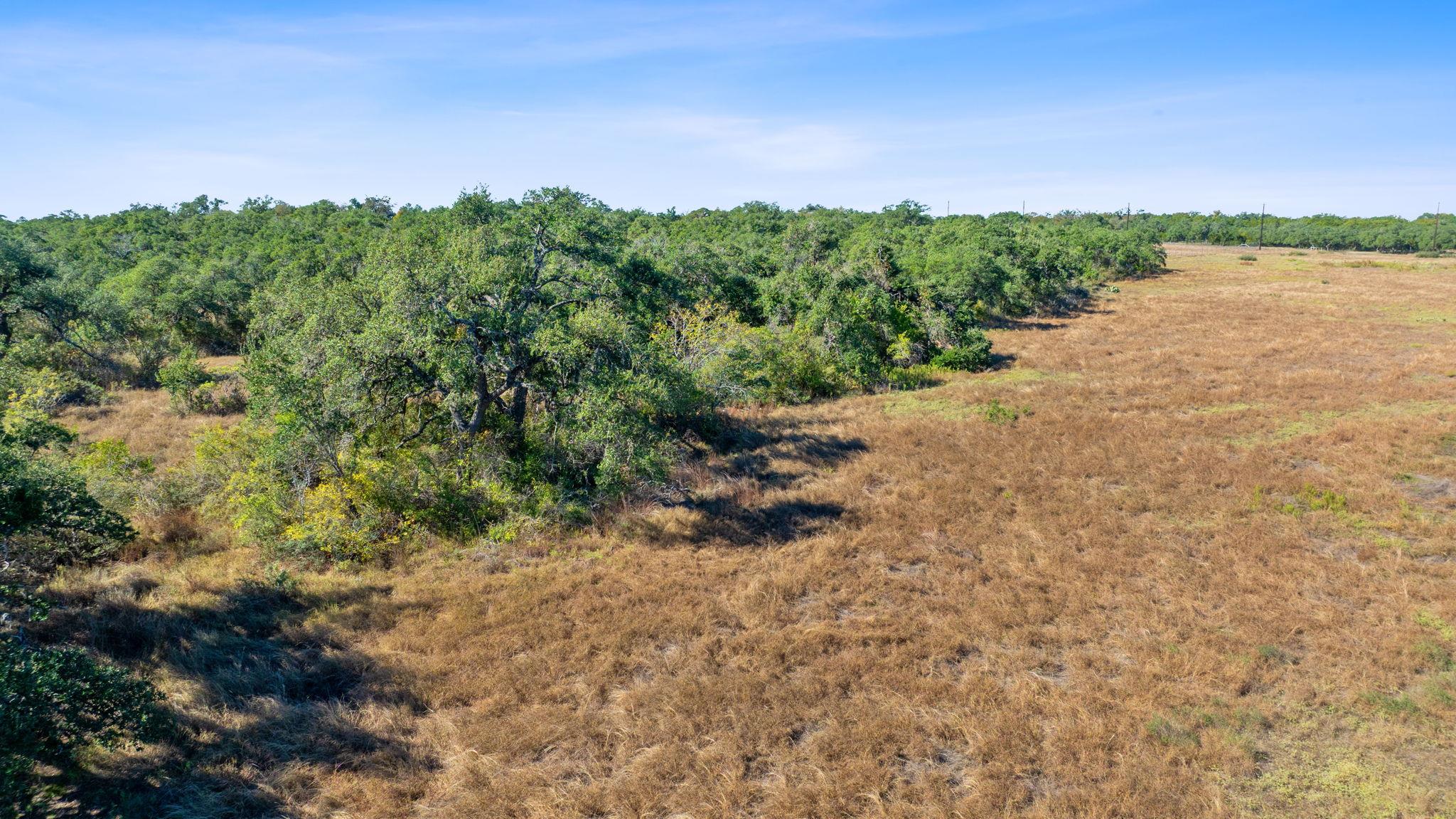 TBD FM 2325, Wimberley, TX 78676