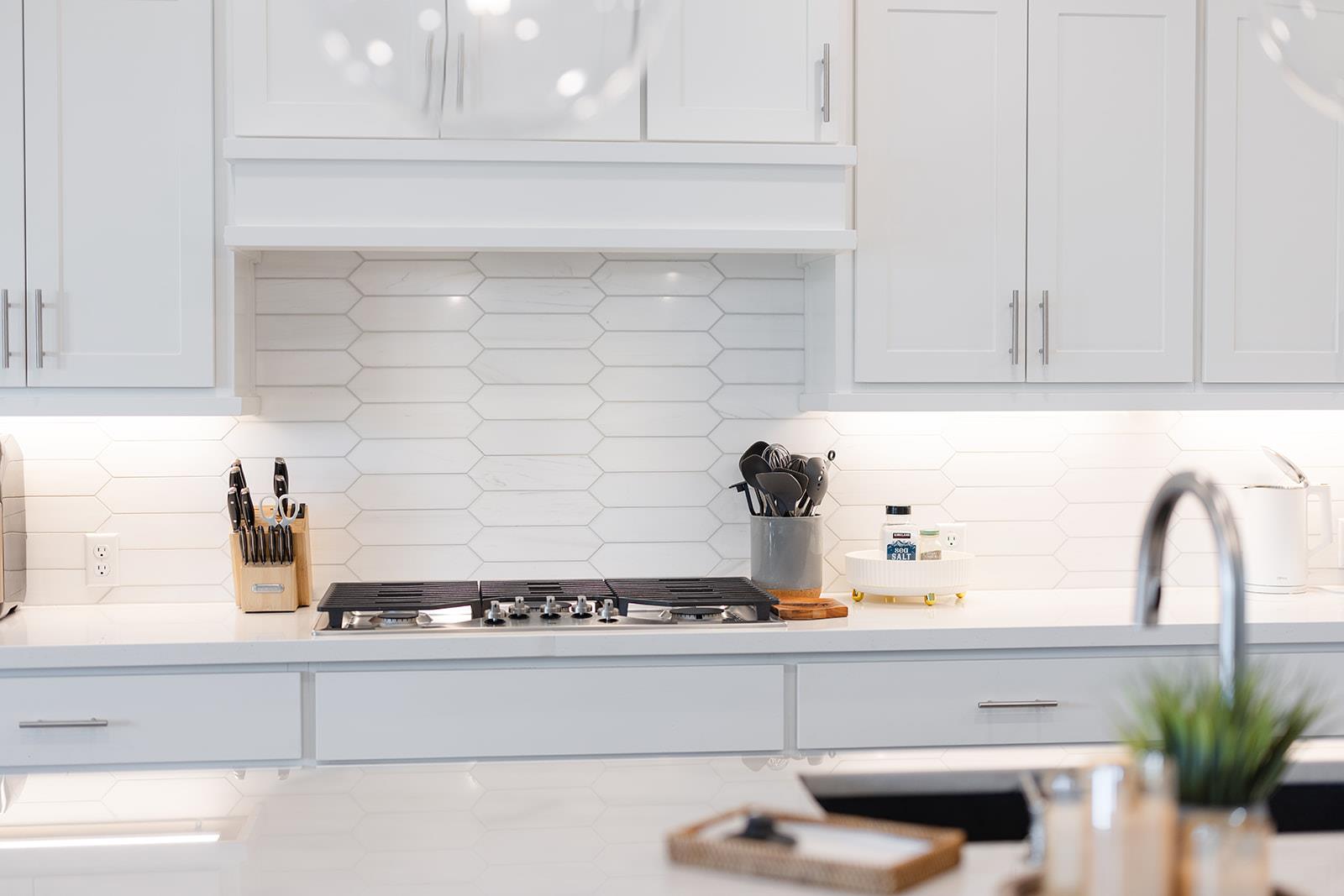 216 Rosetta Loop, Liberty Hill, TX 78642