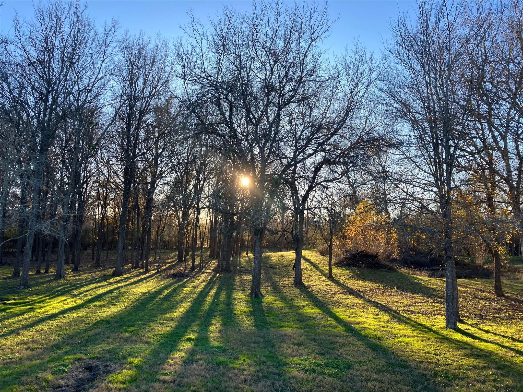 1777 Fox Ln, Lockhart, TX 78644