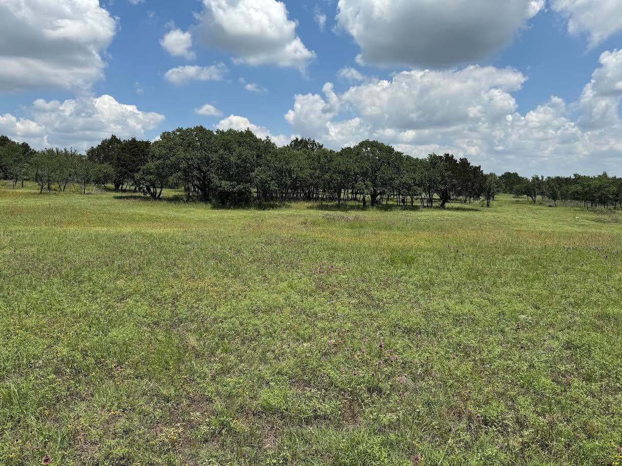Tract 28 Miller Creek, Briggs, TX 78608