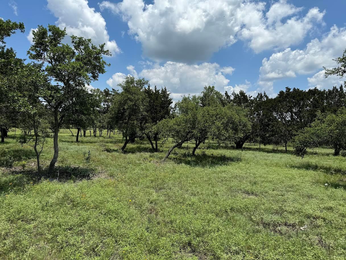 Tract 28 Miller Creek, Briggs, TX 78608