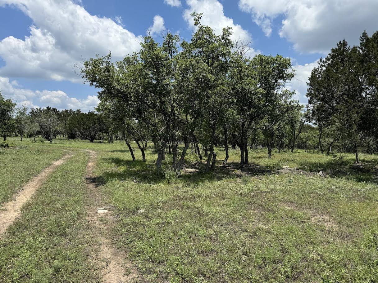 Tract 28 Miller Creek, Briggs, TX 78608