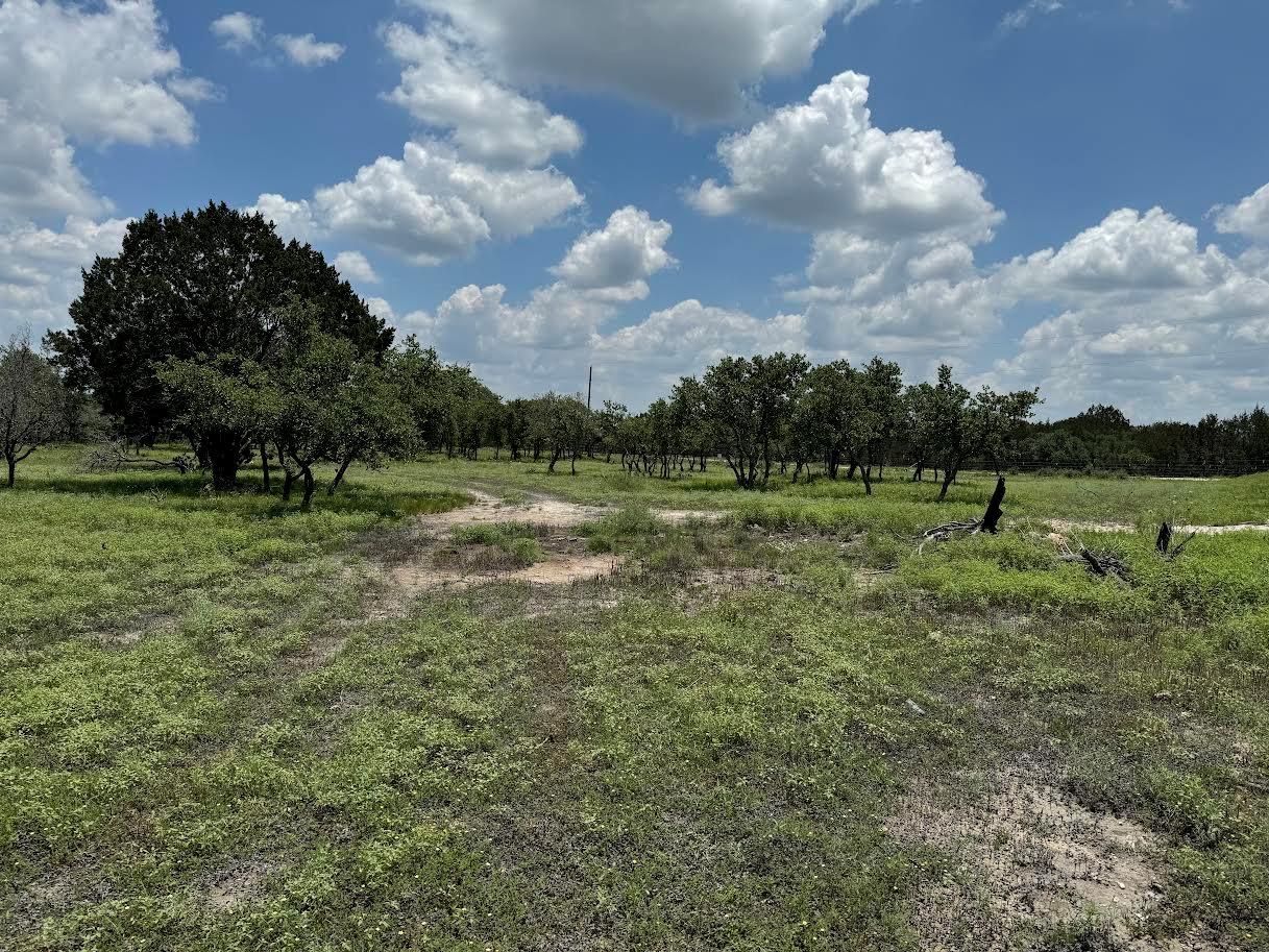 Tract 28 Miller Creek, Briggs, TX 78608