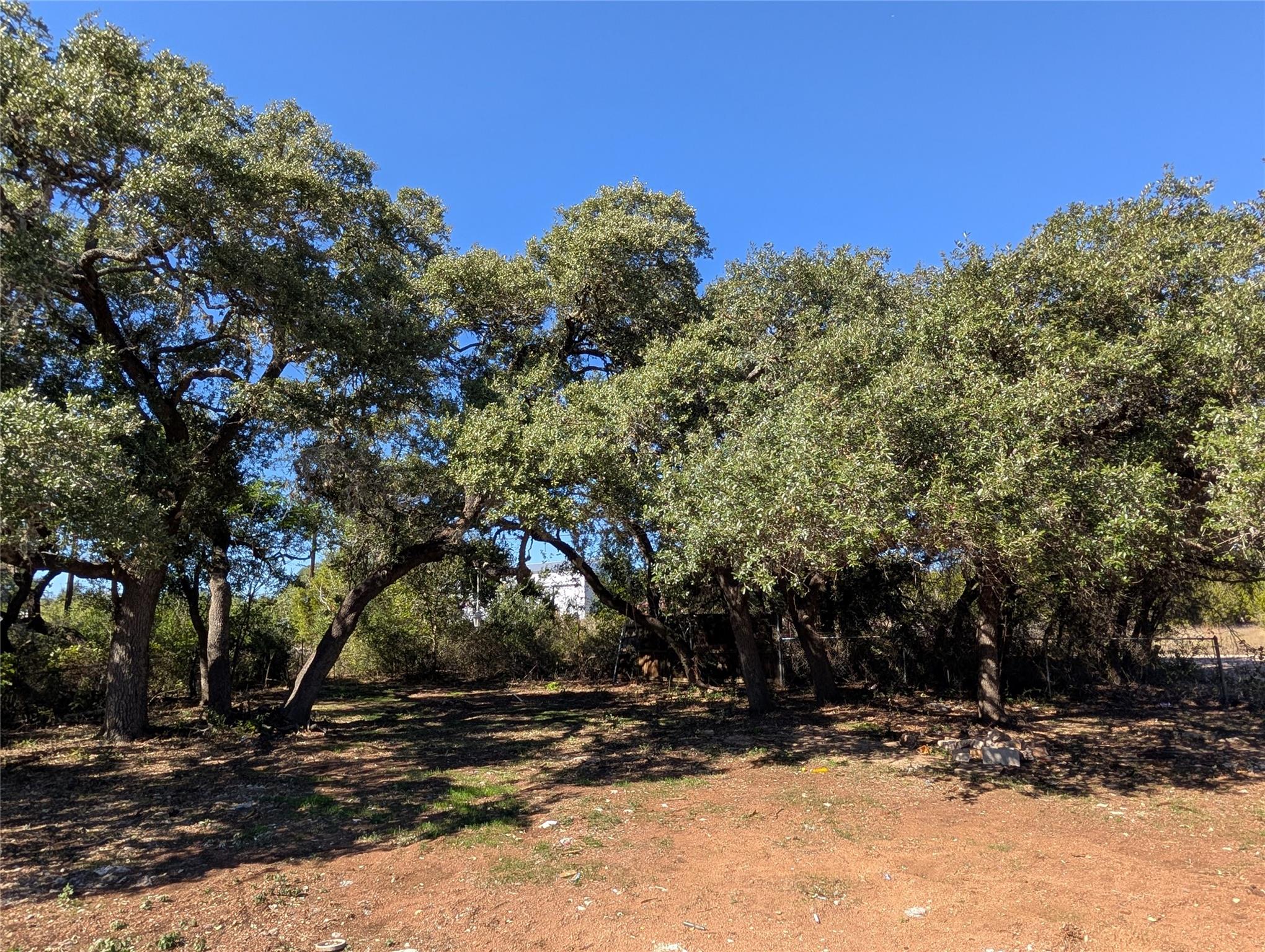 170 Brownson Ln, Driftwood, TX 78619