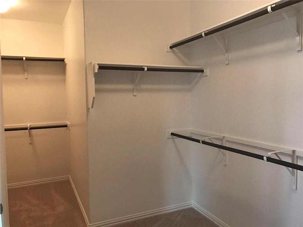 100 Star Jasmine Cv, Georgetown, TX 78626