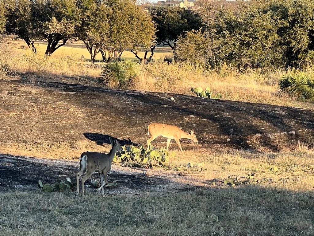 Lot 285 La Serena Loop, Horseshoe Bay, TX 78657