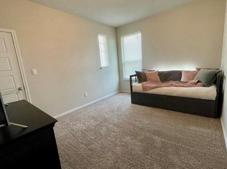 1036 Chad Loop, Round Rock, TX 78665