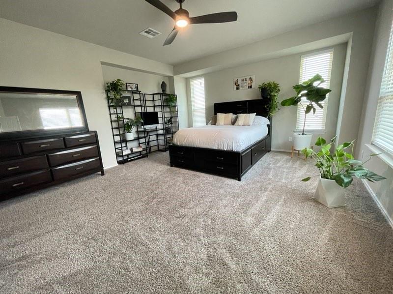 1036 Chad Loop, Round Rock, TX 78665