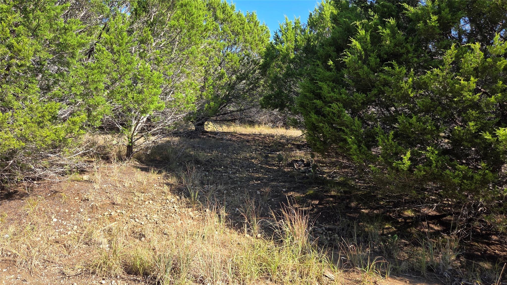 1801 Santa Cruz Cir, Lago Vista, TX 78645