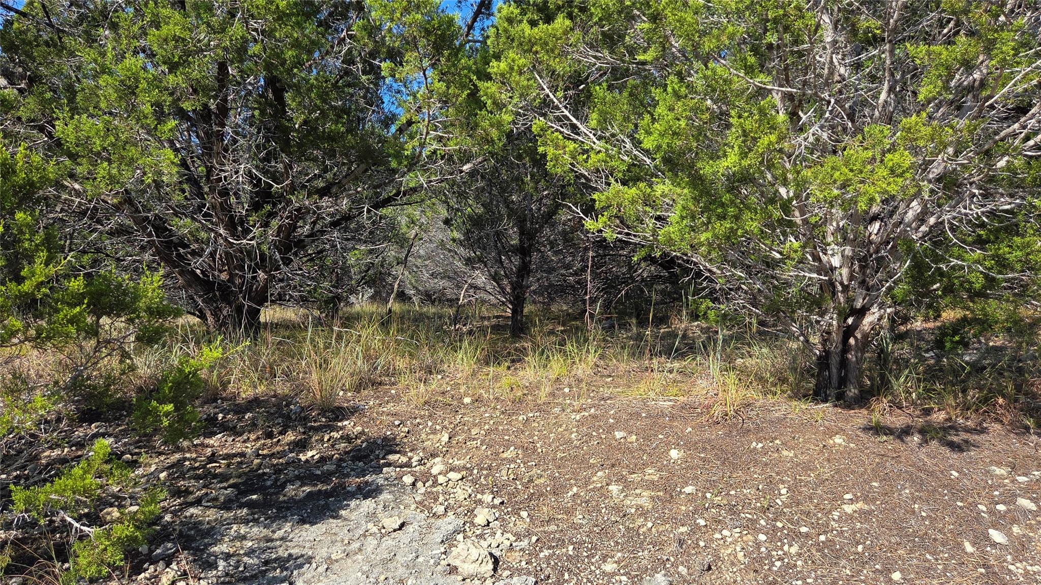 1801 Santa Cruz Cir, Lago Vista, TX 78645