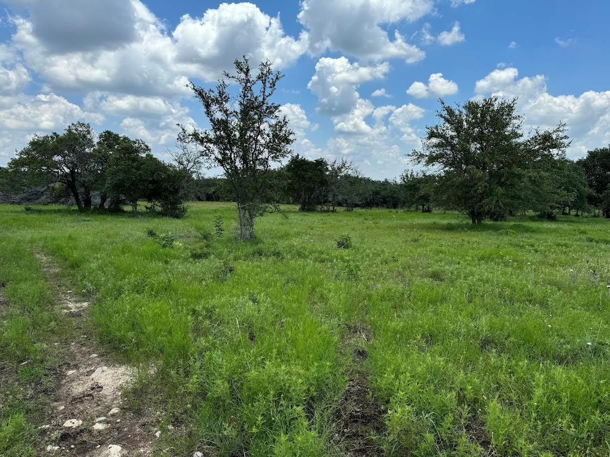 Tract 57-6 Miller Creek, Briggs, TX 78608