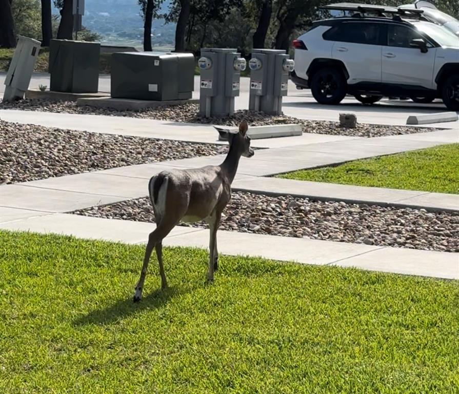 18904 Nicklaus Dr, Point Venture, TX 78645