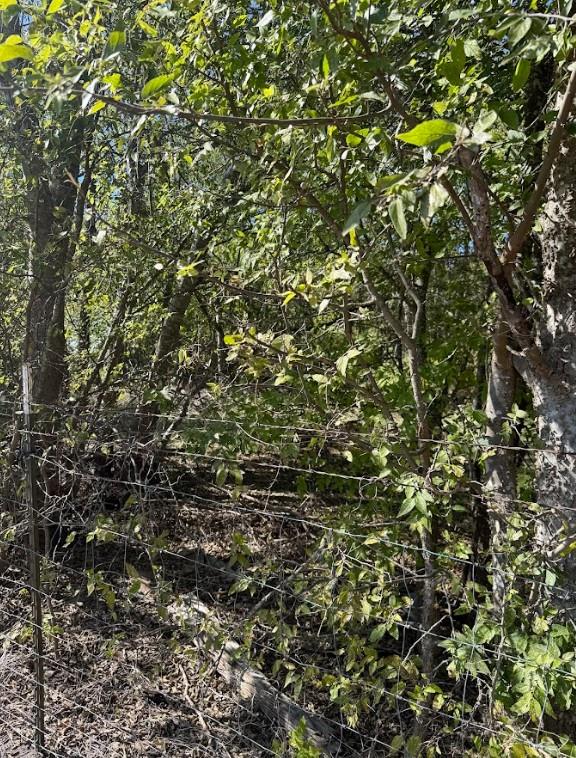 800 Arnold Dr, Bartlett, TX 76511