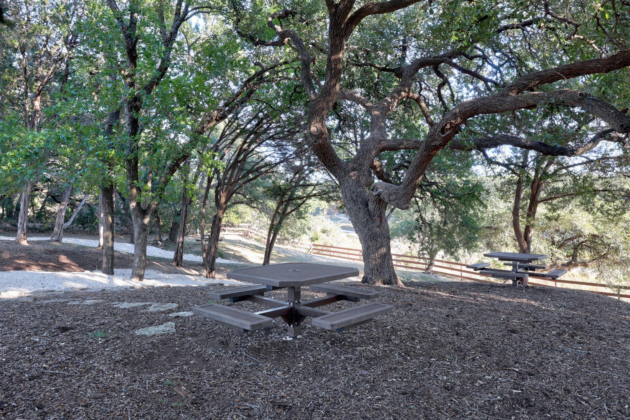 116 Oak Plaza Dr, Georgetown, TX 78628