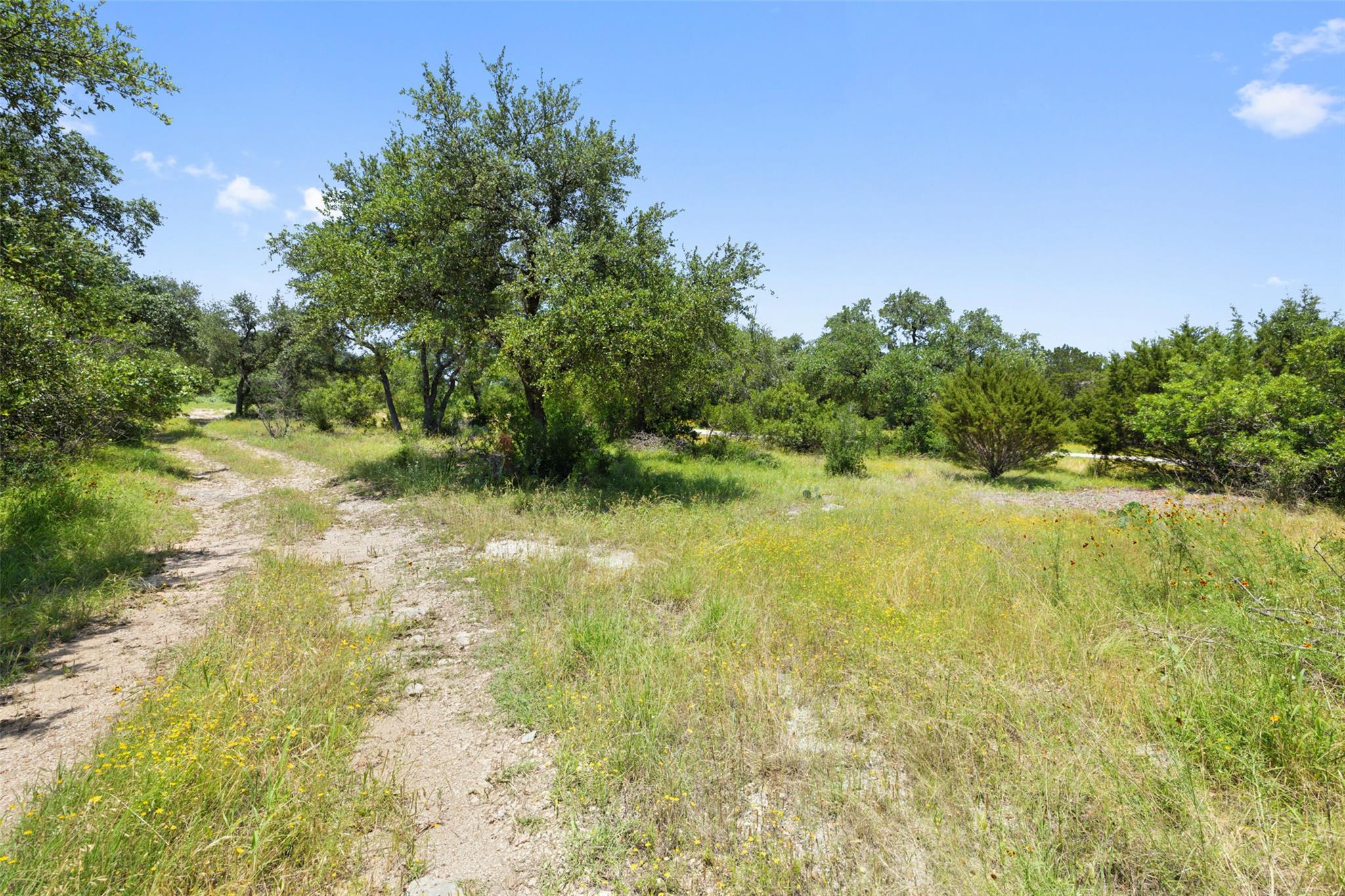 17124 Northlake Hills Dr, Jonestown, TX 78645