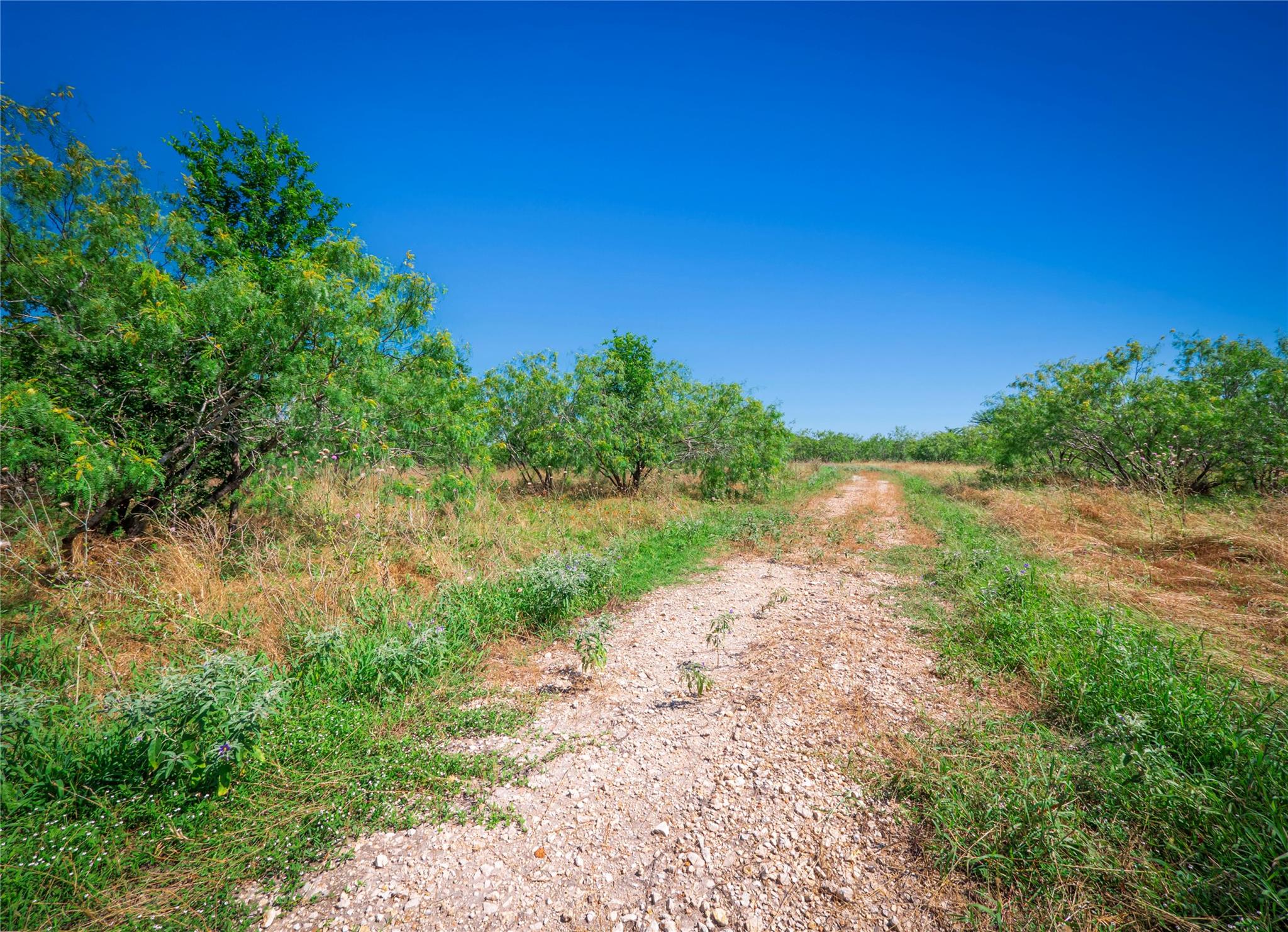 1435 County Road 429, Rockdale, TX 76567