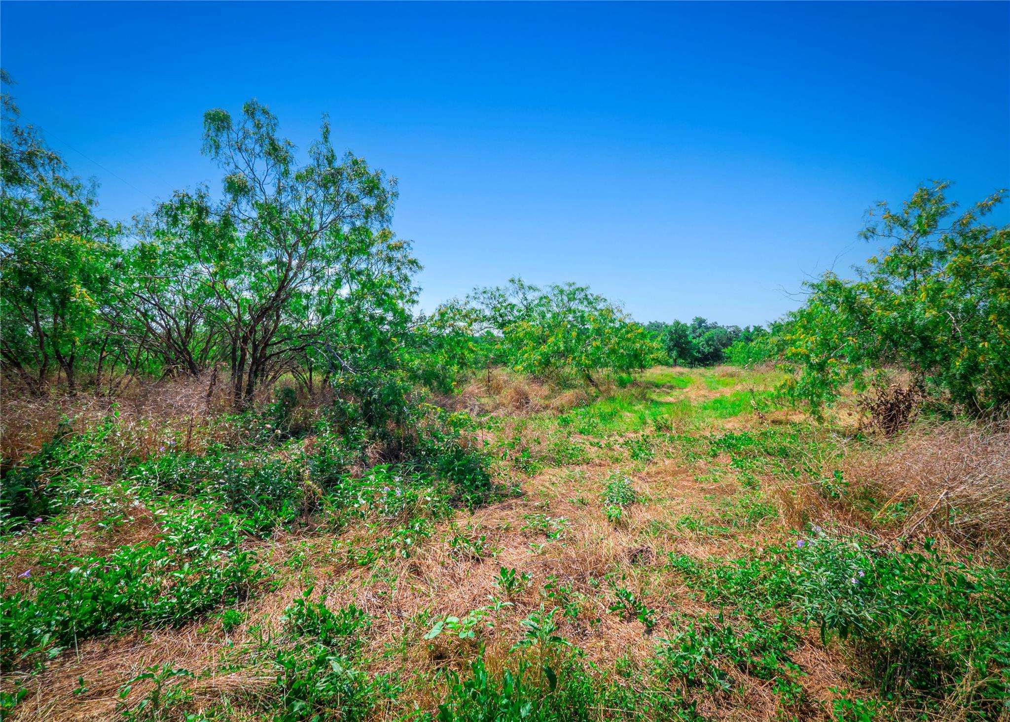 1435 County Road 429, Rockdale, TX 76567