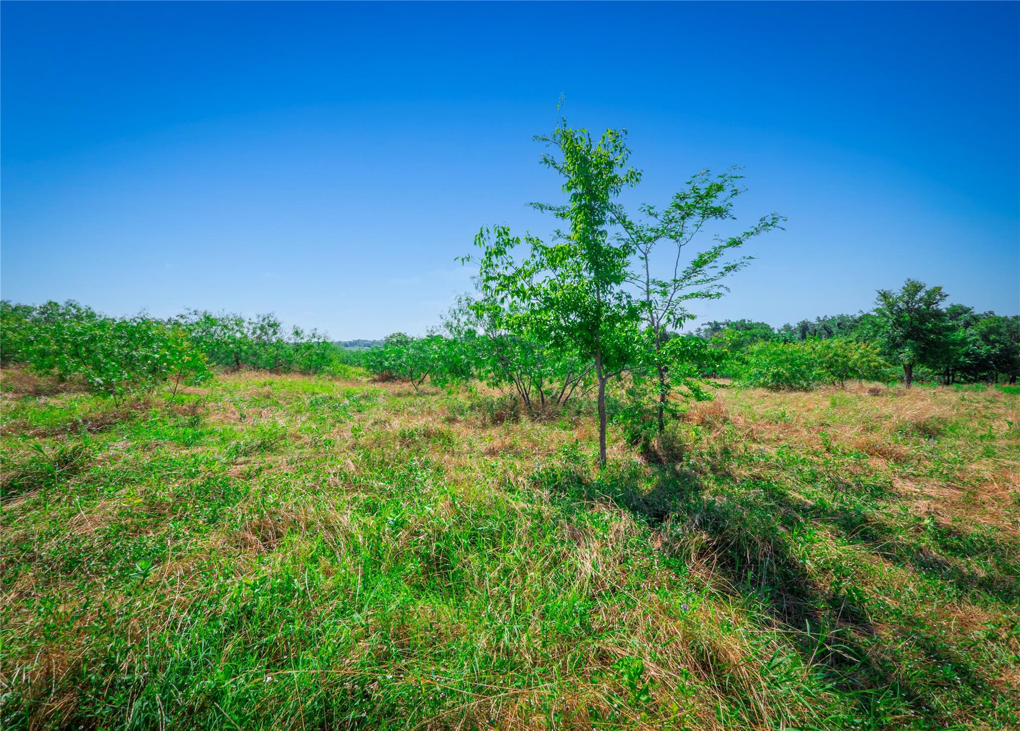 1435 County Road 429, Rockdale, TX 76567