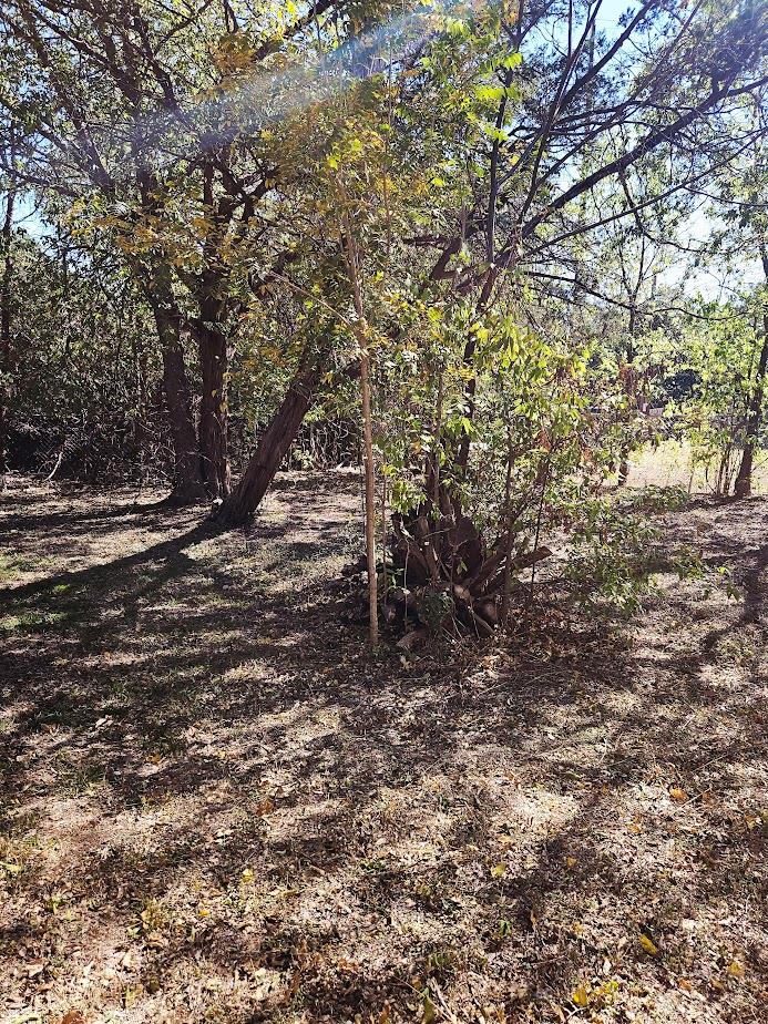 1 Davis St, Wimberley, TX 78676