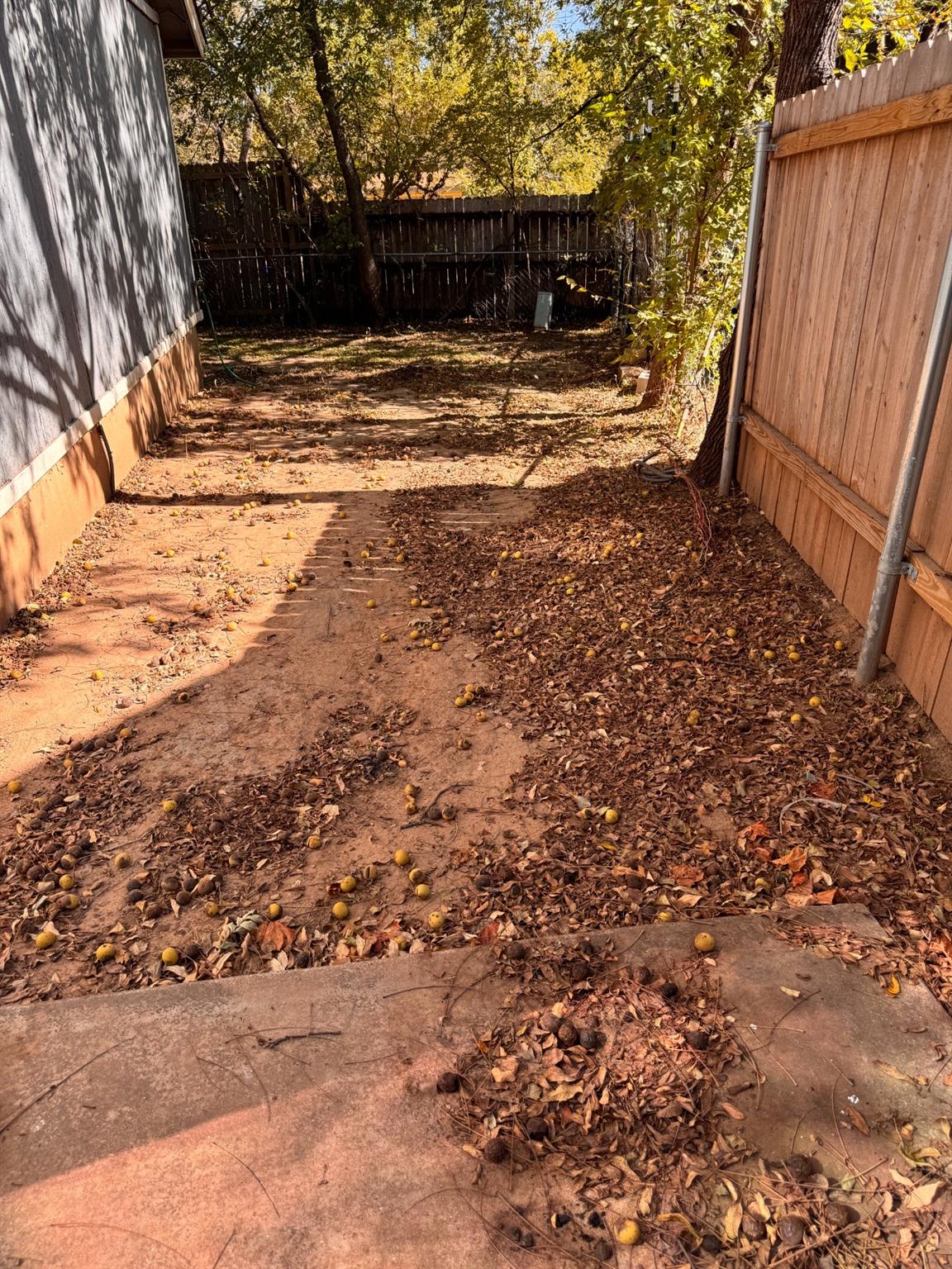 11405 PTARMIGAN Dr # A, Austin, TX 78758