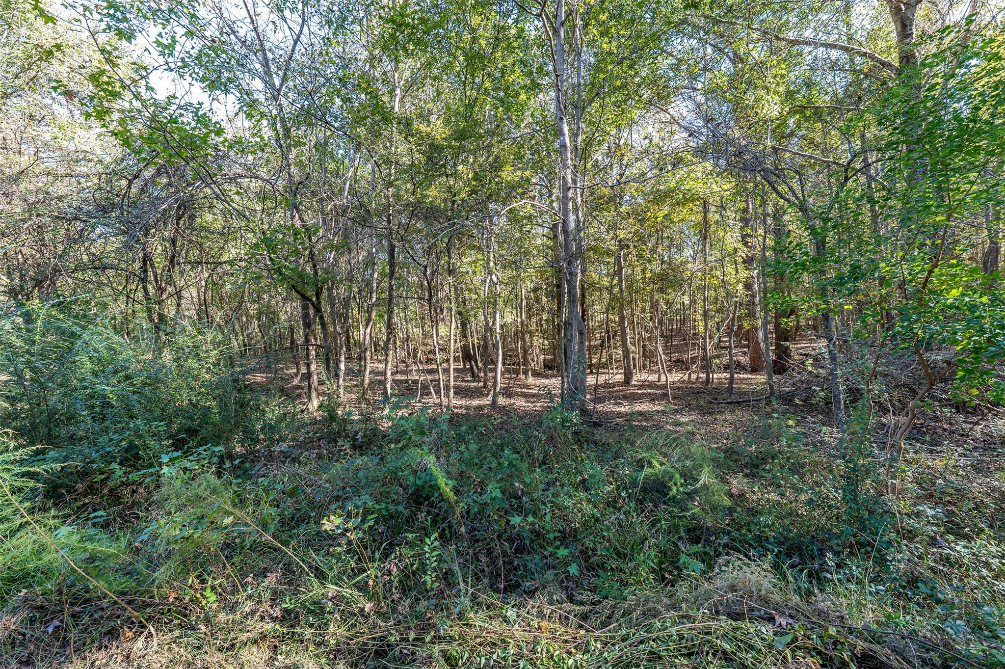380 An County Road 370, Palestine, TX 75801