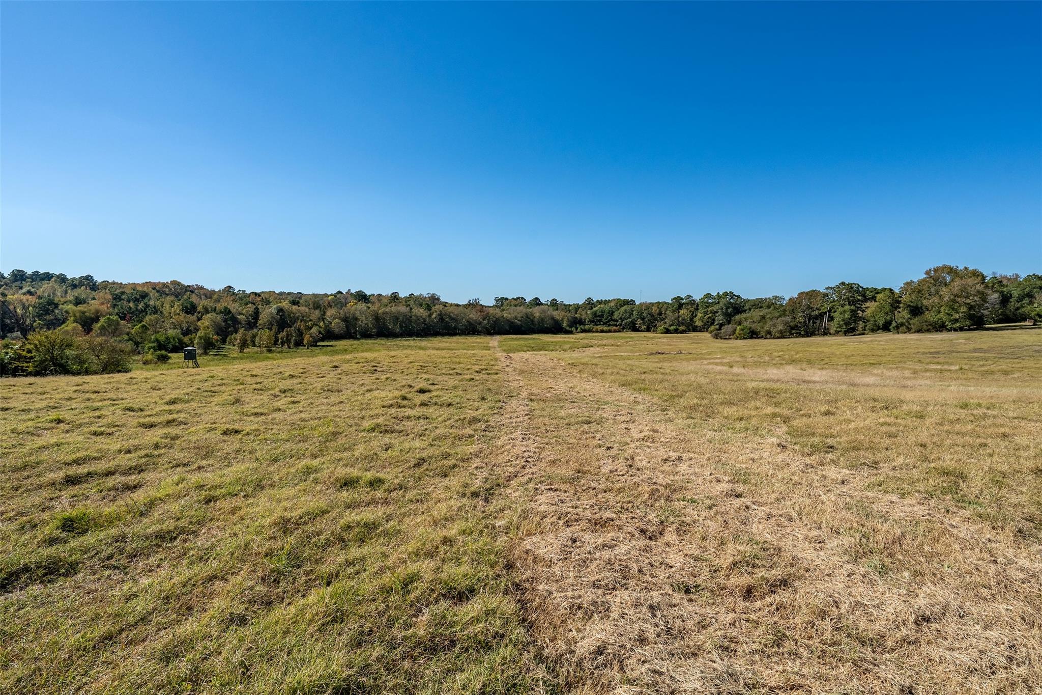 380 An County Road 370, Palestine, TX 75801