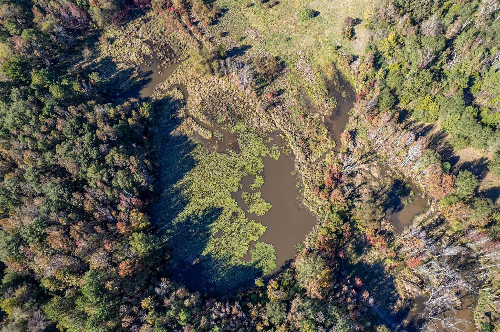 380 An County Road 370, Palestine, TX 75801