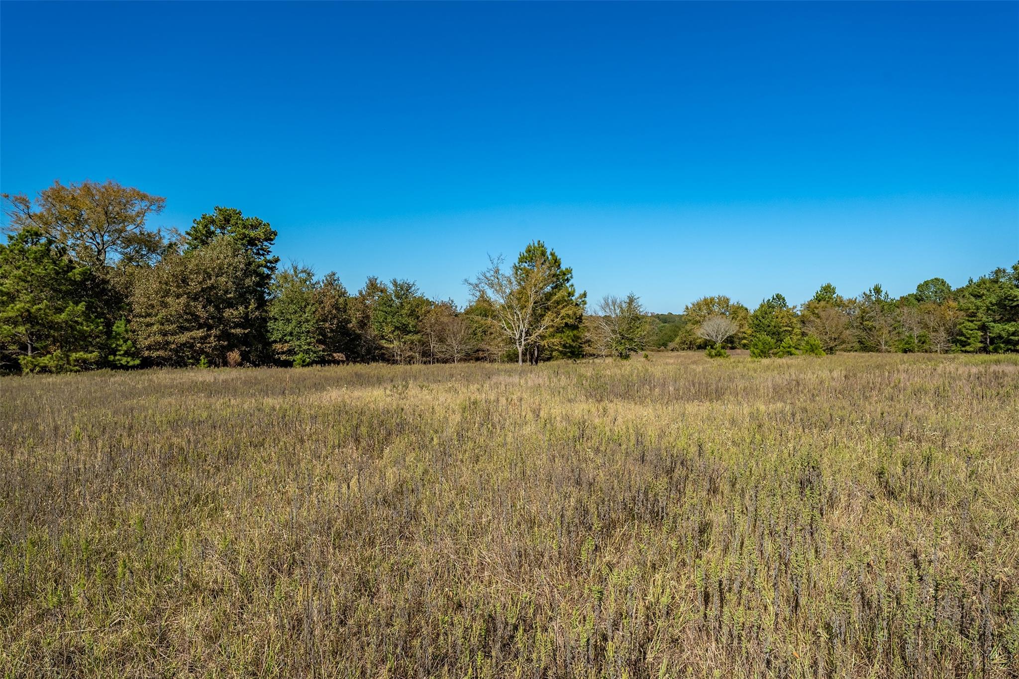 380 An County Road 370, Palestine, TX 75801