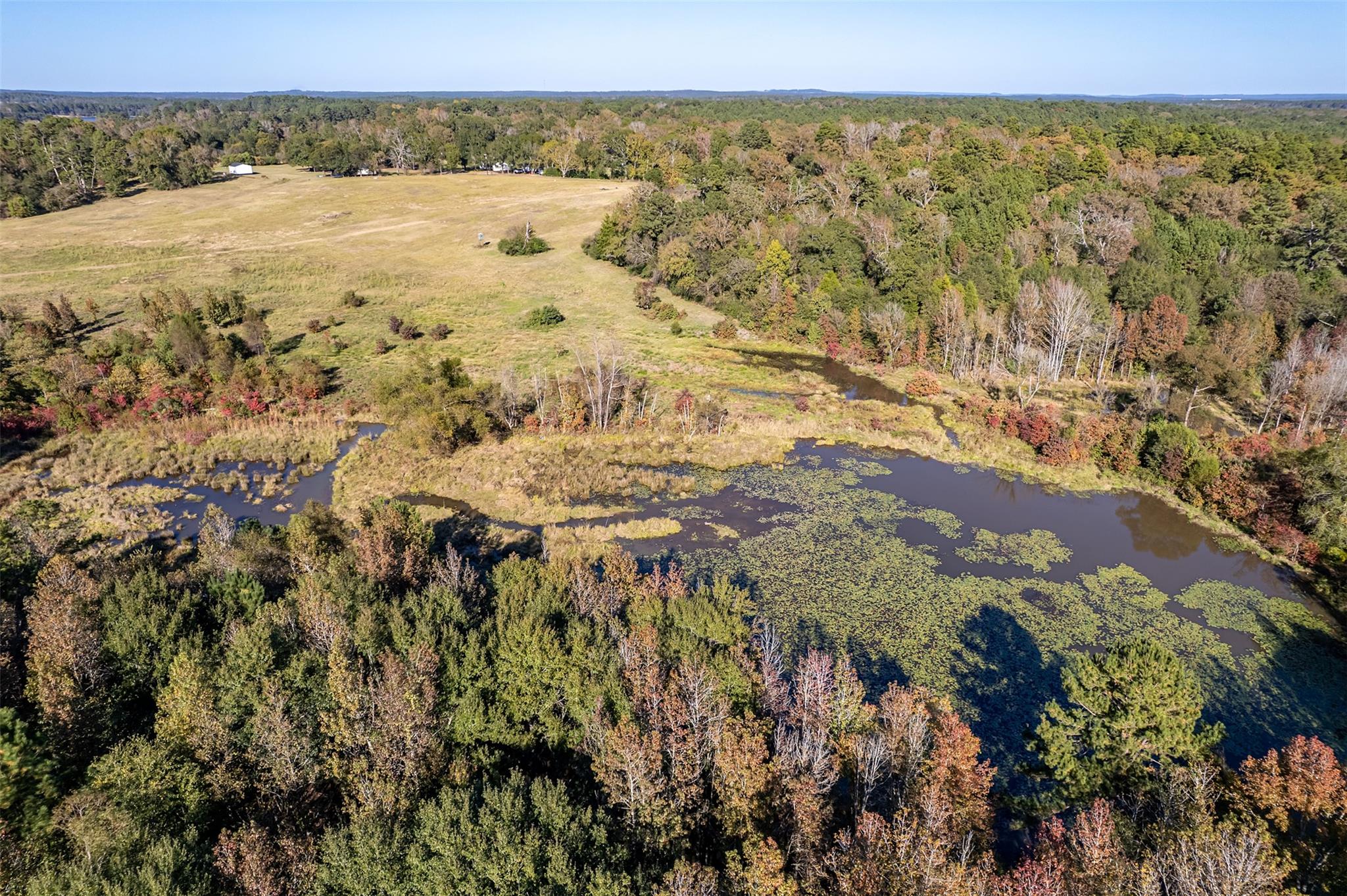 380 An County Road 370, Palestine, TX 75801