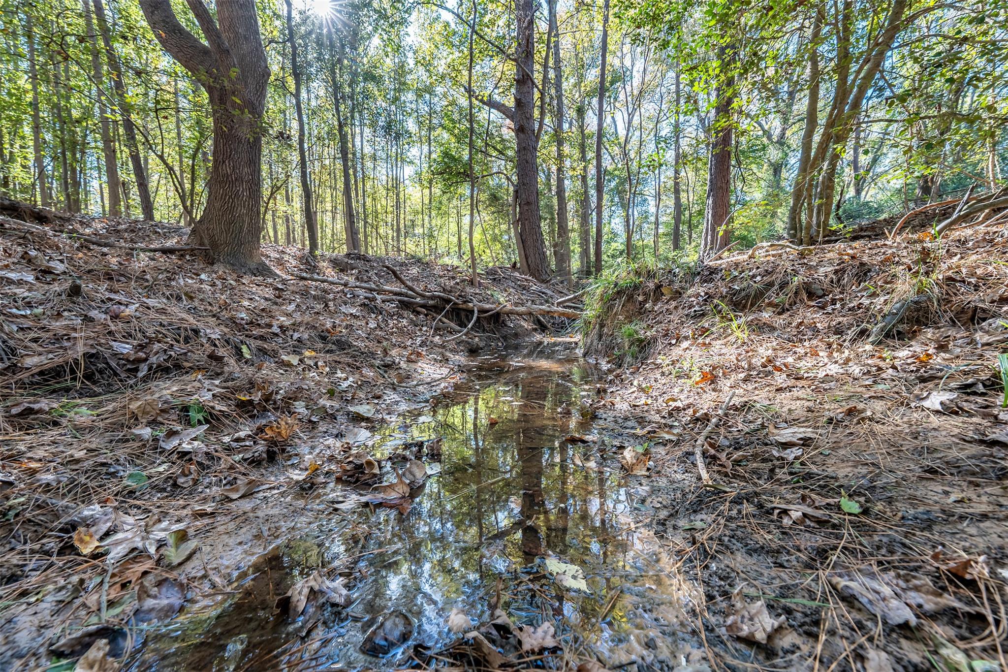 380 An County Road 370, Palestine, TX 75801