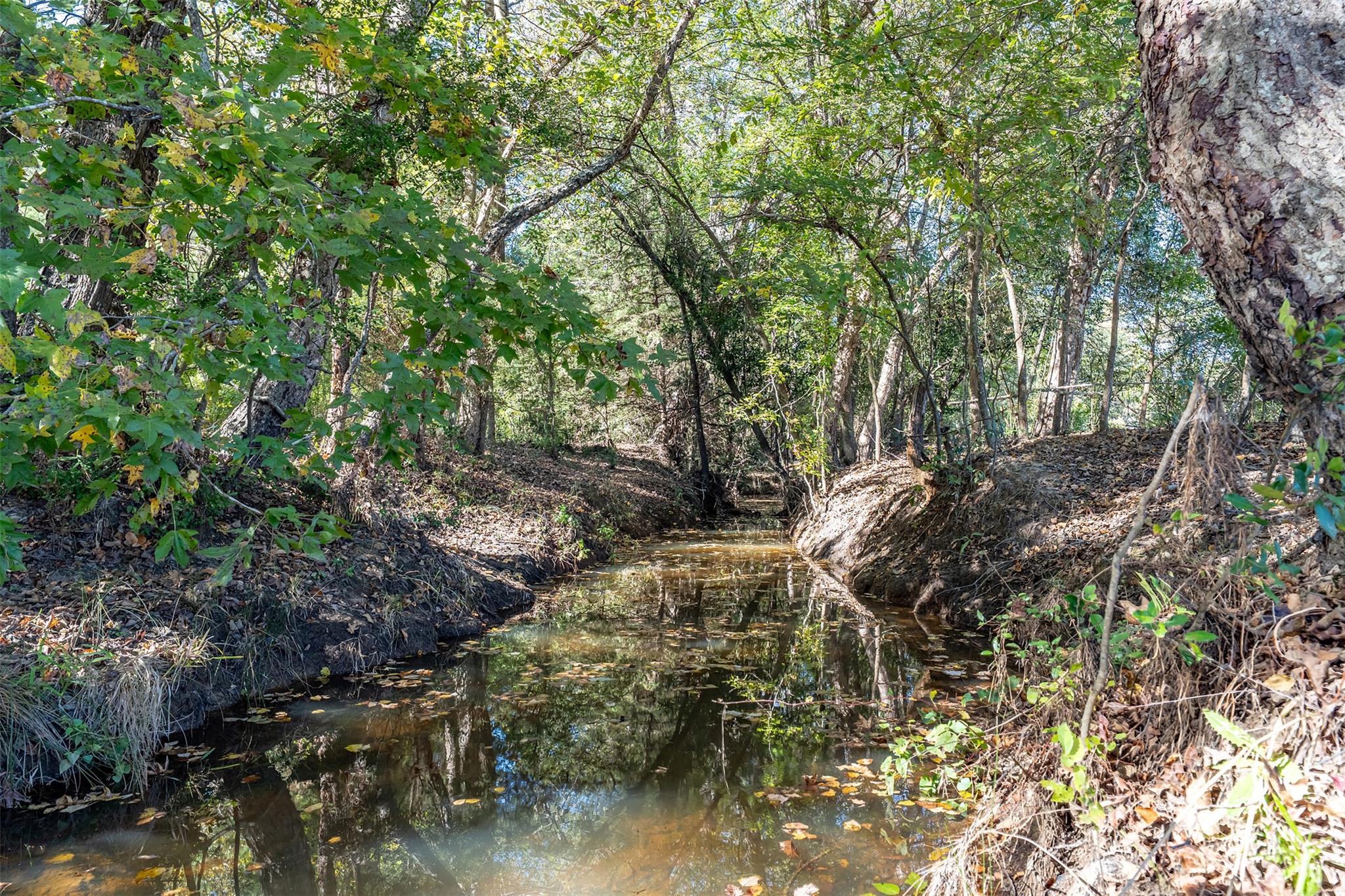 380 An County Road 370, Palestine, TX 75801