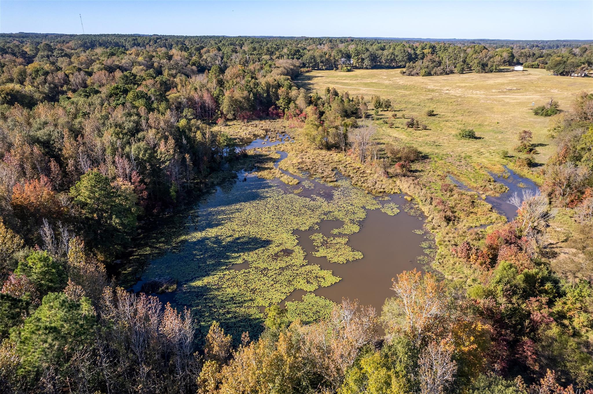 380 An County Road 370, Palestine, TX 75801