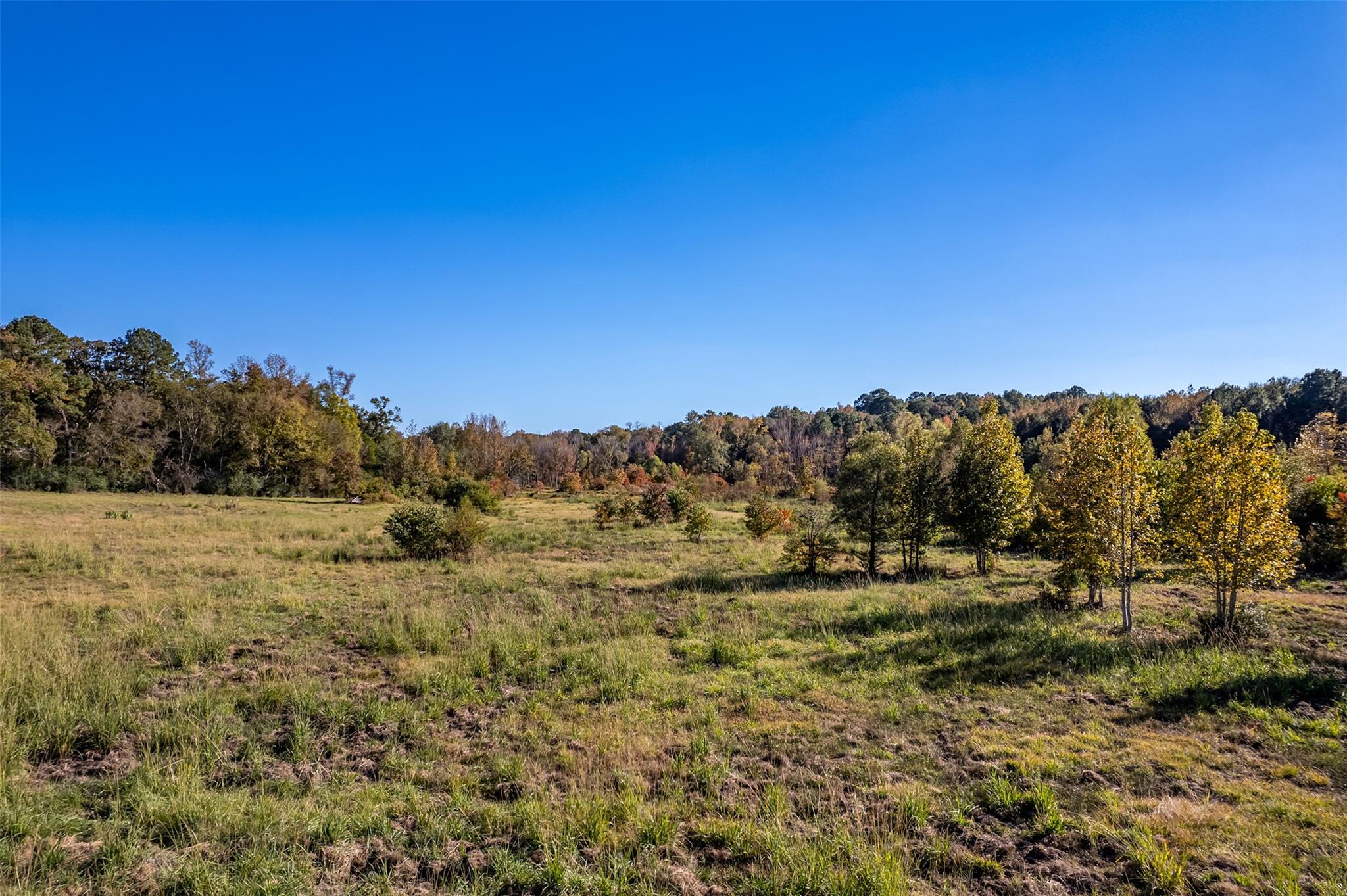 380 An County Road 370, Palestine, TX 75801