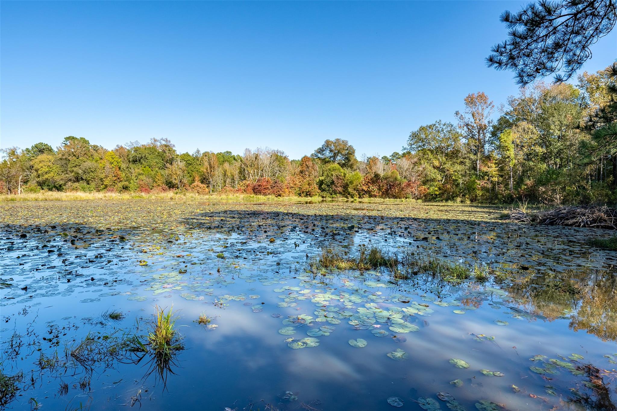 380 An County Road 370, Palestine, TX 75801