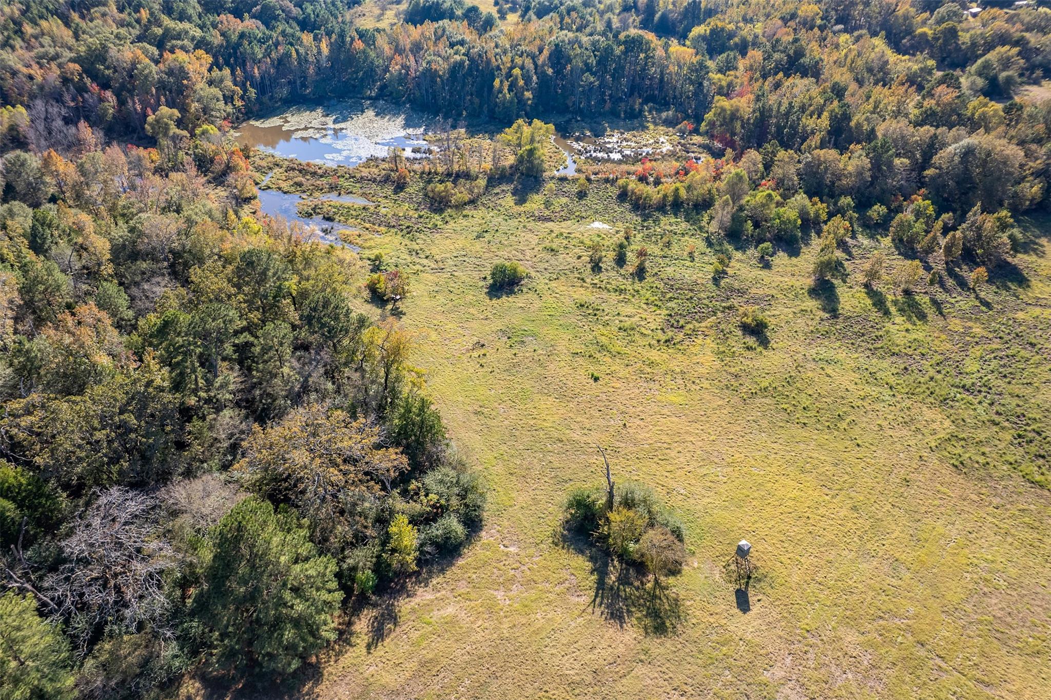 380 An County Road 370, Palestine, TX 75801