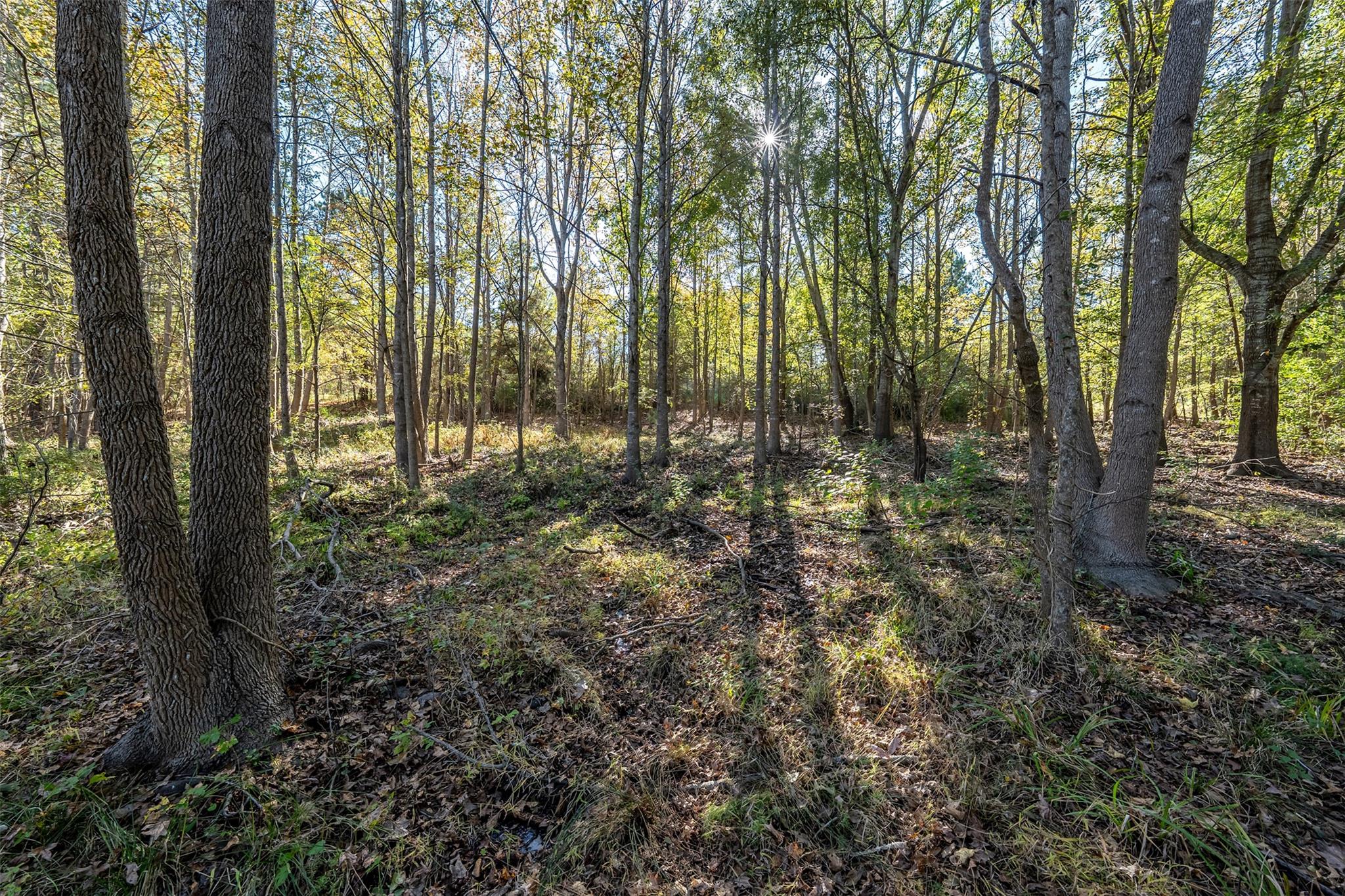 380 An County Road 370, Palestine, TX 75801