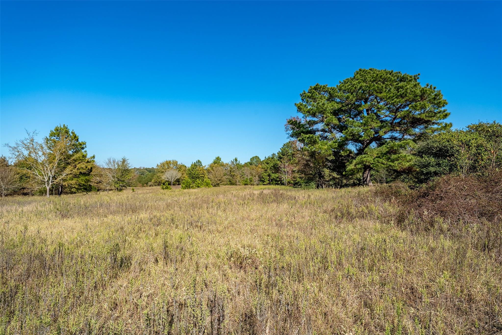 380 An County Road 370, Palestine, TX 75801