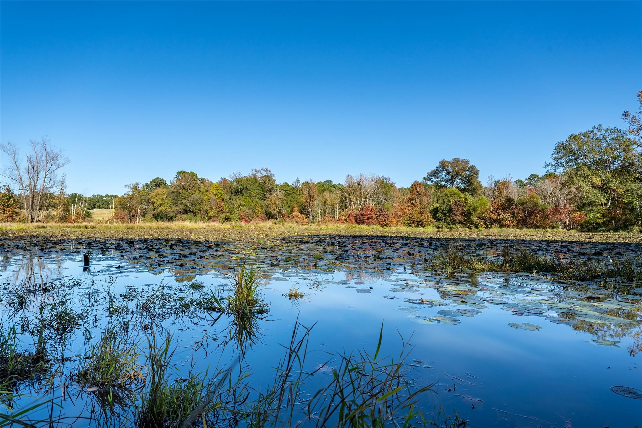 380 An County Road 370, Palestine, TX 75801