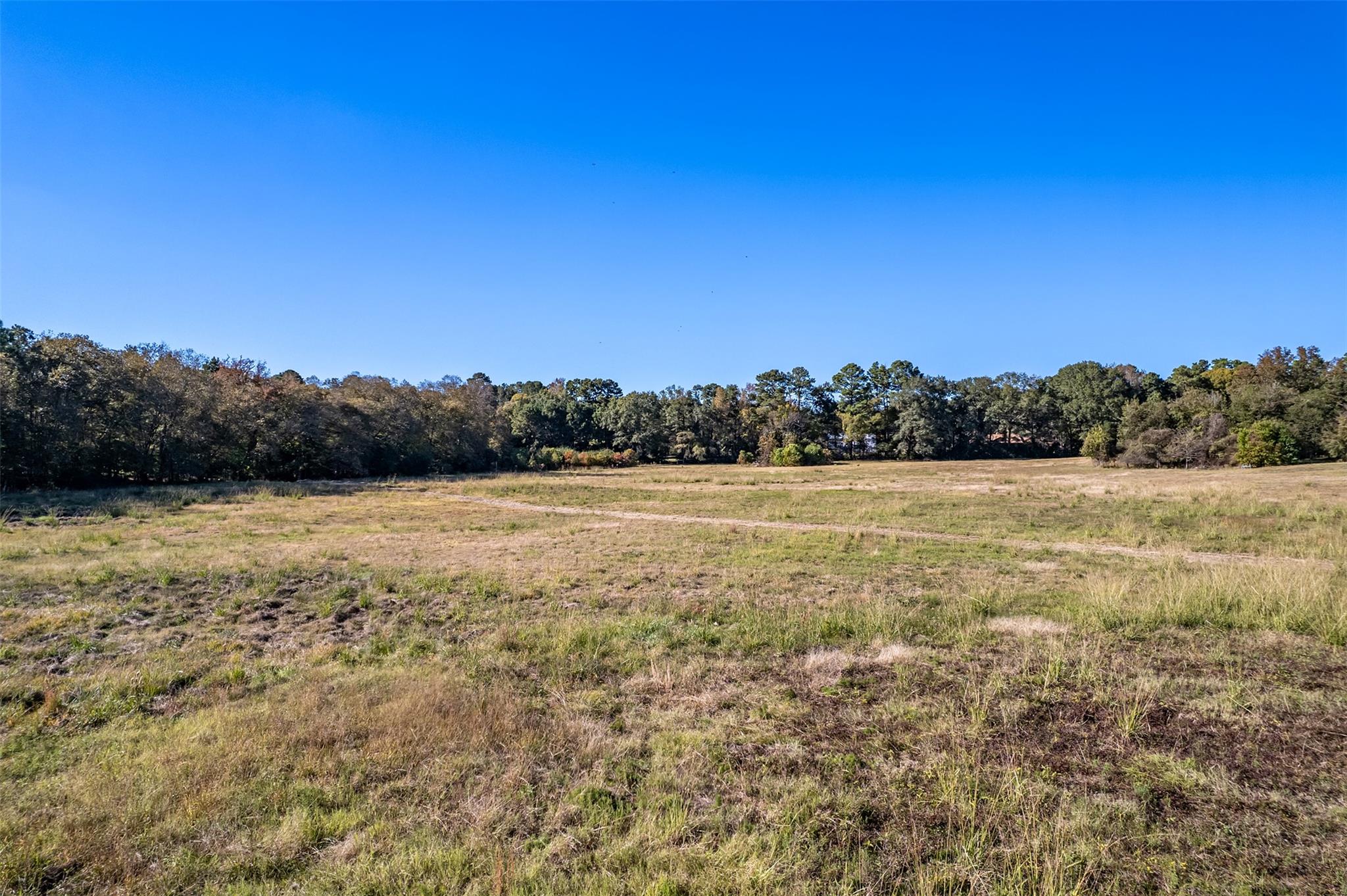 380 An County Road 370, Palestine, TX 75801