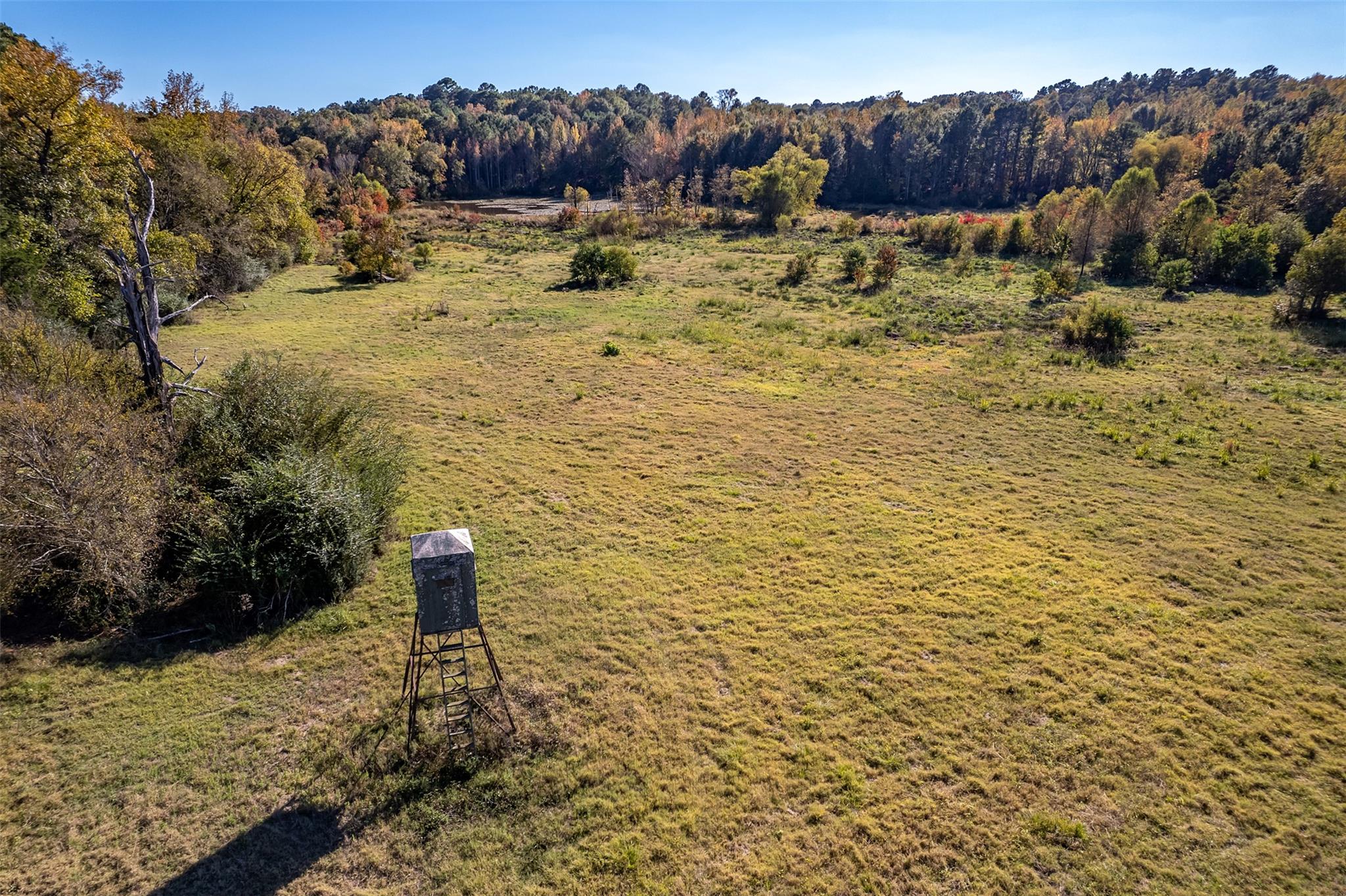 380 An County Road 370, Palestine, TX 75801