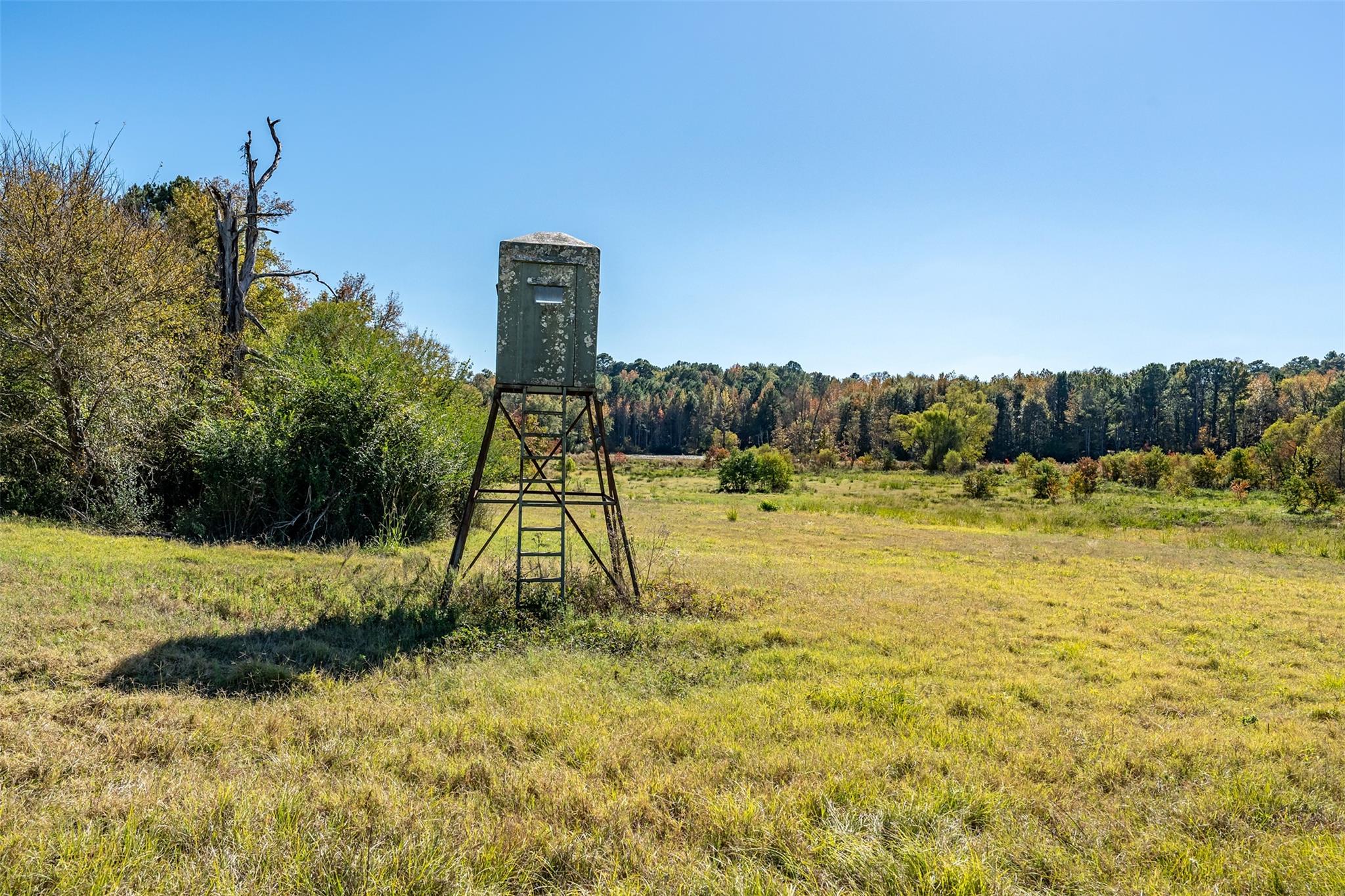 380 An County Road 370, Palestine, TX 75801