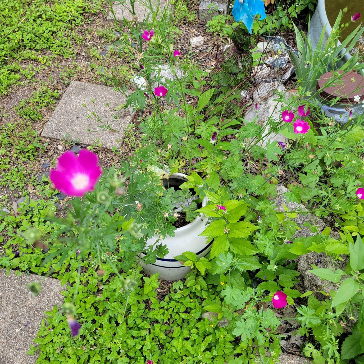 1524 Weyford Dr, Austin, TX 78757